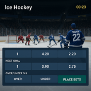 5Gringos - Hockey Betting - NHL and European Leagues